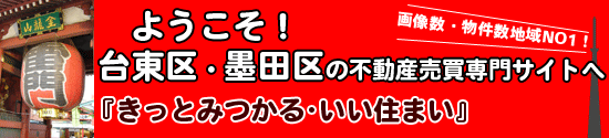 �y�X�}�C�z�[���T���@��Ή�����`